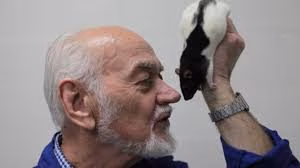 Enam kui nali &ndash; loomade naerust inimese r&otilde;&otilde;muni