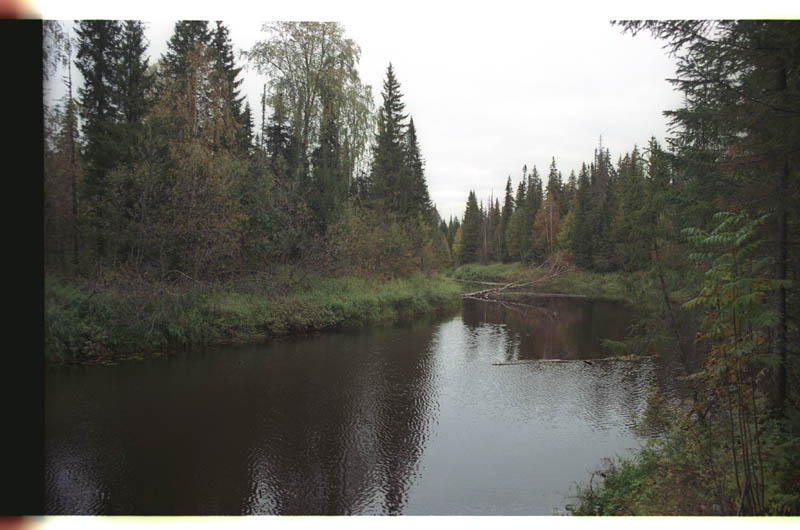 Kuk-ju (Vasikajõgi) Komimaa ja Permi oblasti piiril, jahimeeste kangelastegude ja nõiduslike unenägude paik. Tsaariajal võis kütt seal ühe talvega saada nii palju karusnahku, et võis endale kevadel nende eest vasika osta. Foto: Art Leete 2003