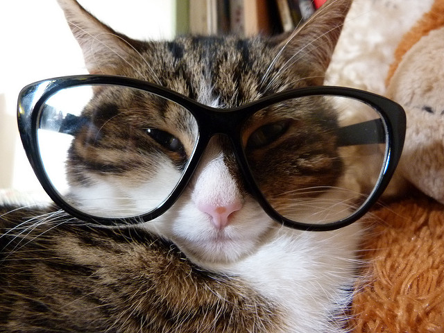 Otsige prillid välja, läheb lugemiseks.