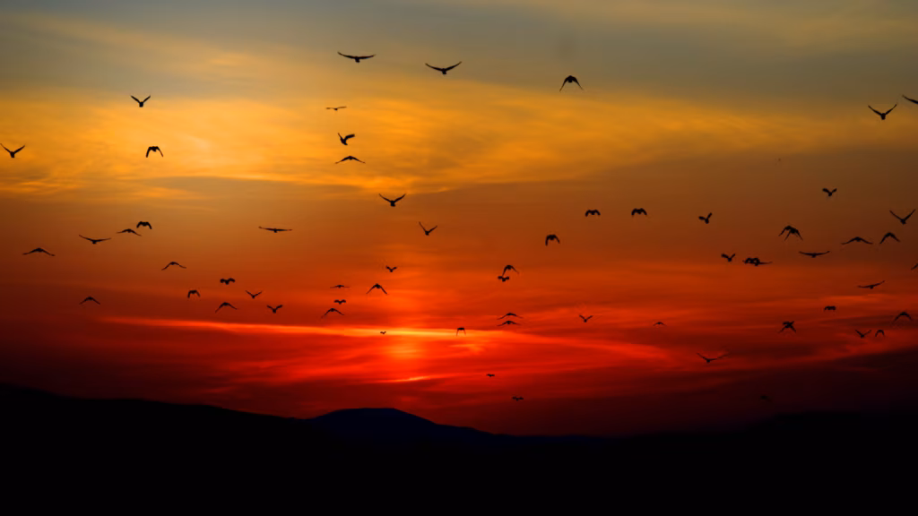 Pandeemiamõtted I. Eriolukorrast