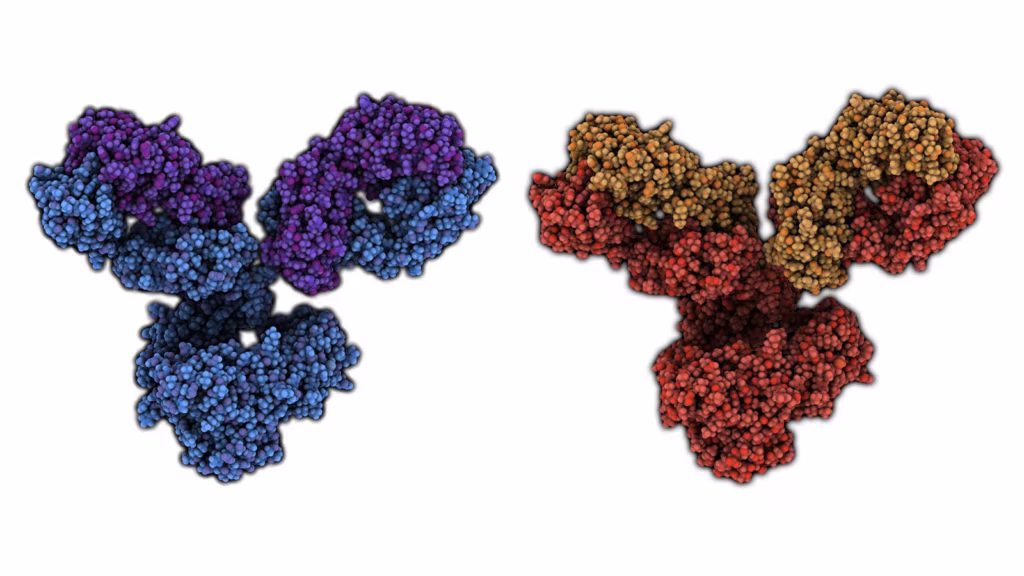 Bioloogilised ravimid – kas meditsiini tulevik?