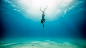 Eesti keelde sukelduja