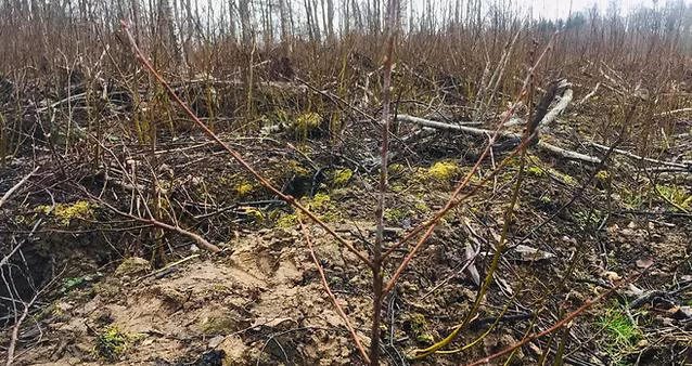 *k&otilde;ik asjad mis vanasti olid jt luuletusi