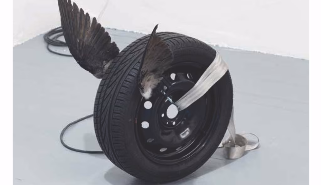 Toimetajalt: Meie igapäevast kriisi …