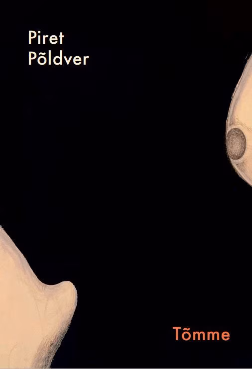 Kohtumised iseendaga